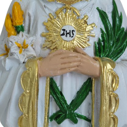 Imagem de São Tarcísio de Resina Nacional - 20 cm