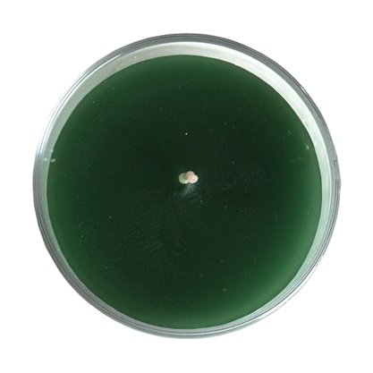 Vela Vidro Decorativa Verde - 5,5 cm x 7,5 cm