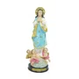 Imagem de Nossa Senhora da Conceição Resina Importada - 20 cm