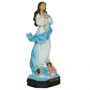 Imagem de Nossa Senhora da Imaculada Conceição de Resina Nacional - 21 cm