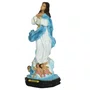 Imagem de Nossa Senhora da Imaculada Conceição de Resina Nacional - 21 cm