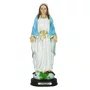 Imagem de Nossa Senhora das Graças de Resina Nacional - 21 cm