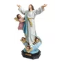 Imagem de Nossa Senhora de Assunção de Resina Nacional - 20 cm