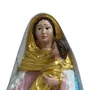 Imagem de Nossa Senhora do Novo Caminho - 20 Cm