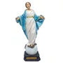 Imagem de Nossa Senhora do Sorriso de Resina Nacional - 20 cm