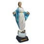 Imagem de Nossa Senhora do Sorriso de Resina Nacional - 20 cm