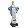 Imagem de Nossa Senhora do Sorriso de Resina Nacional - 20 cm