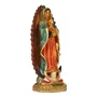 Imagem de Nossa Senhora Guadalupe de Resina Importada - 22 cm