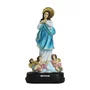 Imagem de Nossa Senhora Imaculada Conceição de Resina Nacional - 28 cm