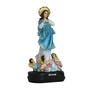 Imagem de Nossa Senhora Imaculada Conceição de Resina Nacional - 28 cm
