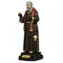 Imagem de Padre Pio de Resina Nacional - 12 cm
