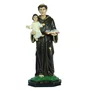 Imagem de Santo Antônio de Resina Nacional - 20 cm