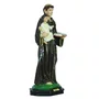 Imagem de Santo Antônio de Resina Nacional - 20 cm