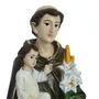 Imagem de Santo Antônio de Resina Nacional - 30 cm