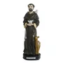 Imagem de São Francisco de Resina Nacional - 20 cm