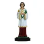 Imagem de São Tarcísio de Resina Nacional - 20 cm