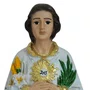 Imagem de São Tarcísio de Resina Nacional - 20 cm