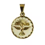 Medalha Divino Espírito Santo fundo branco cx 1.5 cm