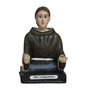 Imagem de São Longuinho Busto de Resina Nacional - 10 cm