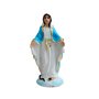 Imagem de Nossa Senhora das Graças Resina Nacional - 7 cm 