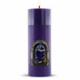 Vela Advento Roxa para Altar Nascimento Colorido - 20 x 7 cm 